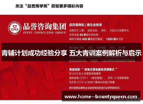 青辅计划成功经验分享 五大青训案例解析与启示